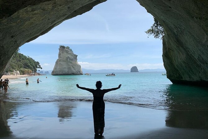 Hot Water Beach & Cathedral Cove Day Tour From Auckland - Tour Operator Background