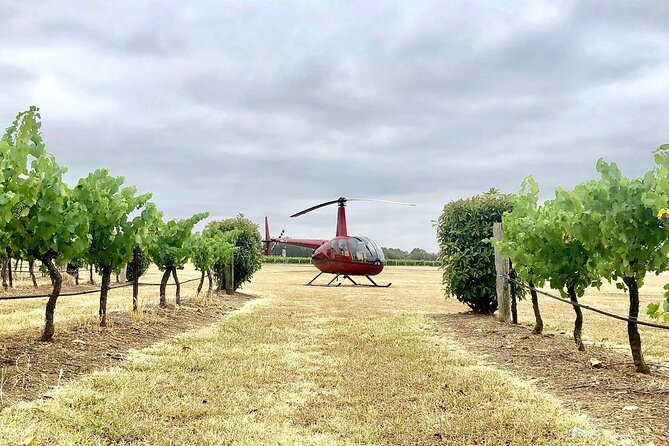 Hunter Valley Helicopter Tour With a Bubbly Breakfast - Customer Reviews