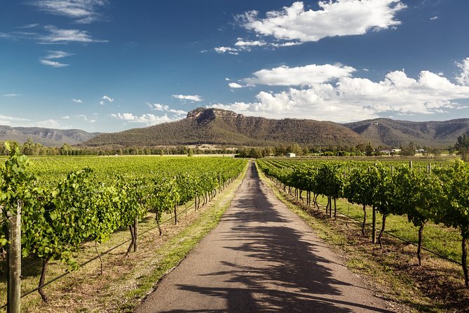 Hunter Valley Highlights Private Wine Tour From Sydney - Pricing Information