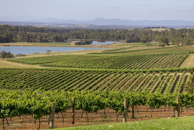 Hunter Valley Wine Tour From Sydney With Lunch and 3 Cellar Door Tastings - Common questions