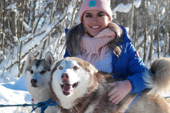 Husky Dog Sledding & Mushing With Pick up and Photo Service in Fairbanks, Alaska - Feedback and Recommendations