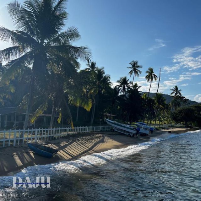 Ilha Grande: Swim With the Little Fish in the Blue and Green Lagoons. - Common questions