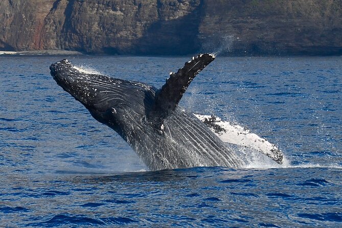 IMILOA - Express Na Pali Sunset Tour - Customer Feedback and Reviews