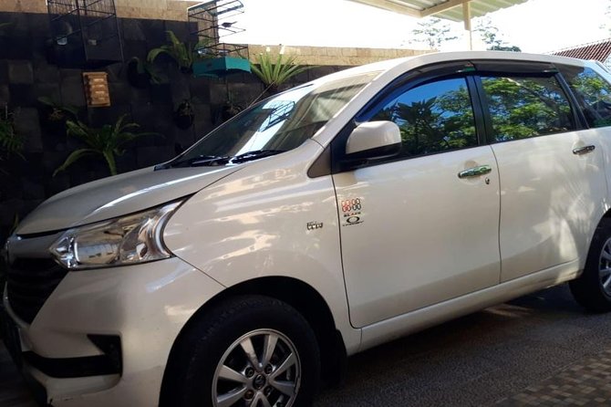 Individual Bali Day Trip With Private Driver and Free Wifi - Driver Skills and Expertise