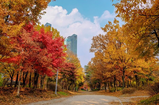 Instagrammable Autumn Foliage Tour From Seoul - Sum Up