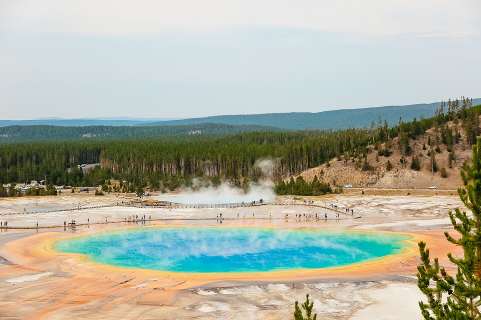 Jackson: 2-Day Yellowstone National Park Tour With Lunches - Product Details and Location