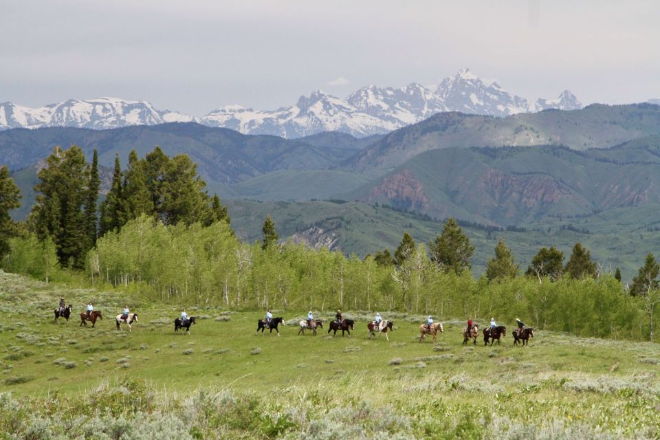 Jackson Hole: Teton View Guided Horseback Ride With Lunch - Return Route & Sum Up