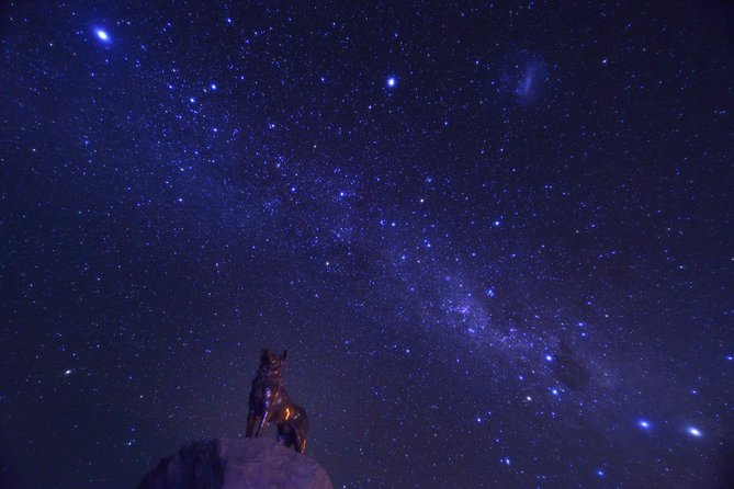 [Japanese Guide] Christchurch-Lake Tekapo Special Pick-up Plan - Group Size Limit