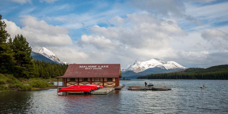 Jasper: Wildlife and Waterfalls Tour With Maligne Cruise - Wildlife Spotting Opportunities