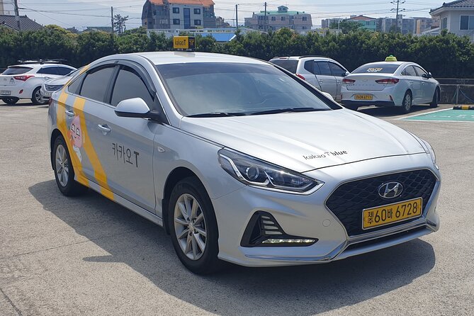 Jeju Airport Private Transportation Service - One Way - Reviews and Ratings