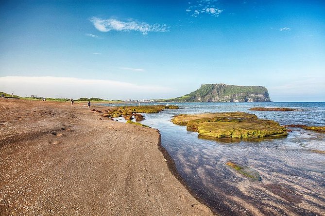 Jeju Island Private Taxi Tour : UNESCO Day Tour - Weather Considerations and Tour Adaptations