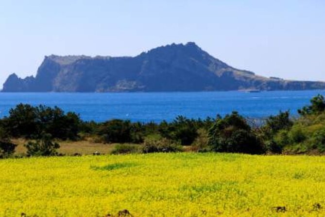 Jeju Island Taxi Join Tour - Customer Reviews and Ratings