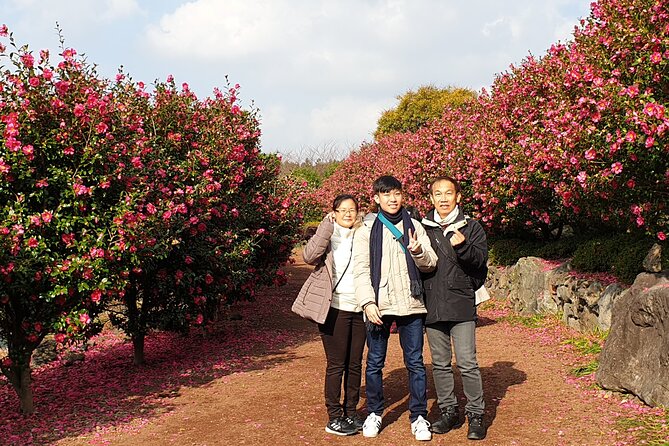 Jeju Private Day Tour - South of Jeju Island - Scenic Locations Visited