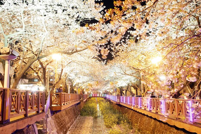 Jinhae Cherry Blossom Festival Tour - Sum Up