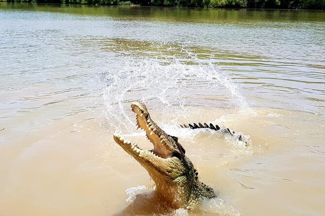 Jumping Crocodile Experience - Booking Information and Support