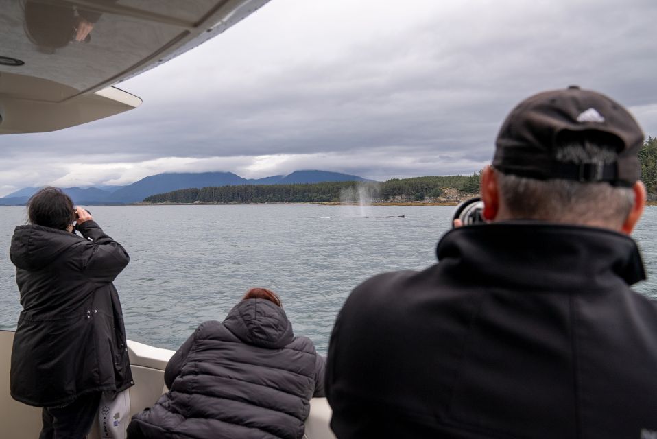 Juneau: All Inclusive Luxury Whale Watch - Small Group Experience