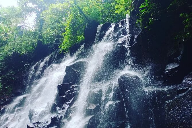 Jungle Swing ATV Rice Terrace Waterfall Private Guided Tour - Customer Reviews and Ratings