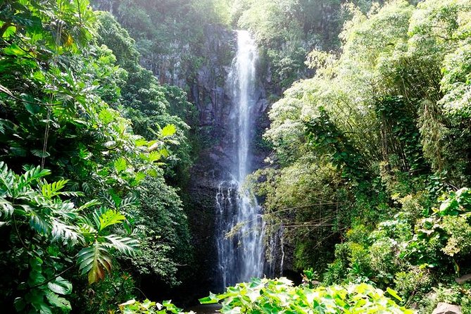 Kahului Small-Group Road to Hana Adventure  - Maui - Common questions
