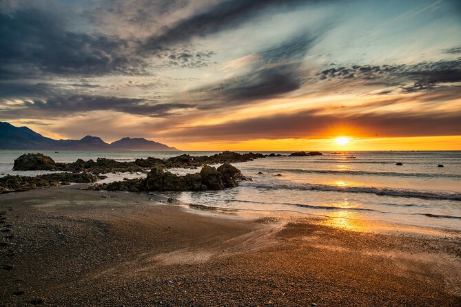 Kaikoura Day Tour With Kayak Experience From Christchurch - Weather Considerations