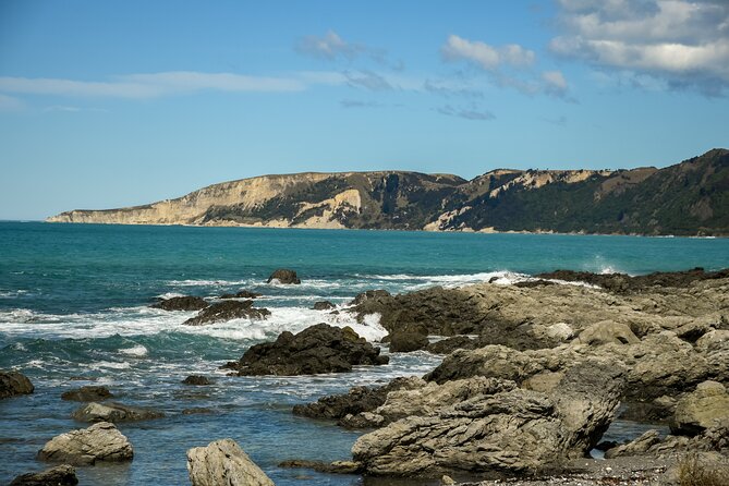 Kaikoura Day Tour With Whale Watching From Christchurch - Additional Information