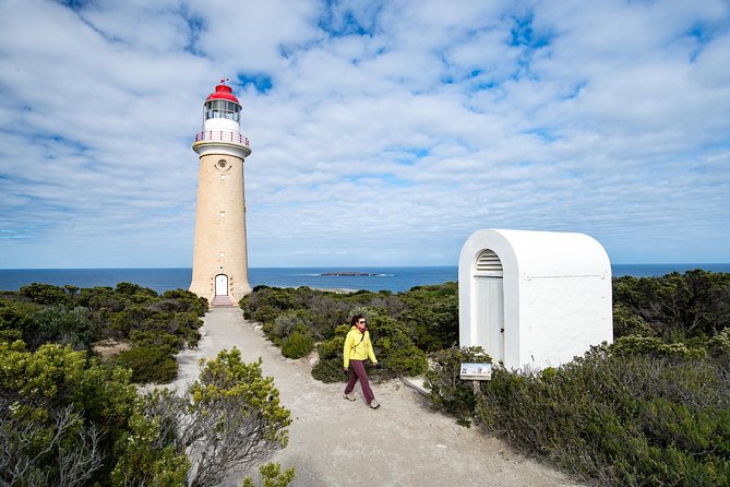 Kangaroo Island Luxury Small Group Flinders Chase Focus Full Day Tour - Kangaroo Spotting at Kelly Hill Conservation Park