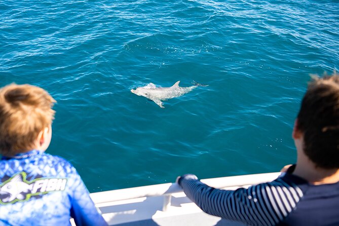 Kangaroo Island Ocean Safari - Snorkeling Safari - Customer Reviews