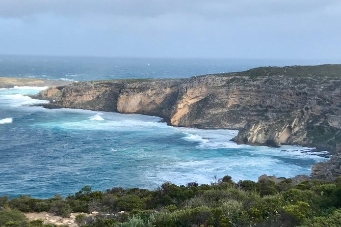 Kangaroo Island Scenic Nature and Wildlife Day Tour - Wildlife Sightings