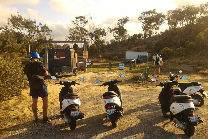 Kangaroo & Sunset Scooter Tour - Additional Resources