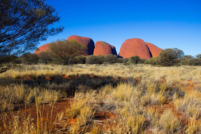 Kata Tjuta Sunrise and Valley of the Winds Half-Day Trip - Tips and Additional Information