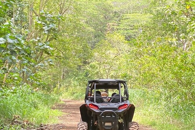 Kauai ATV Backroads Adventure Tour