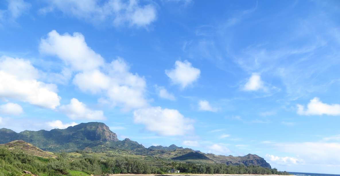 Kauai: Private Tortoises, Caves, and Cliffs South Shore Hike - Customer Reviews