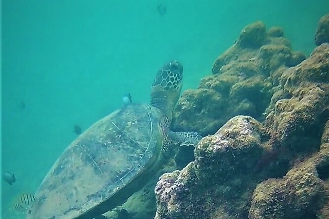 Kauai Snorkeling Adventure - Directions