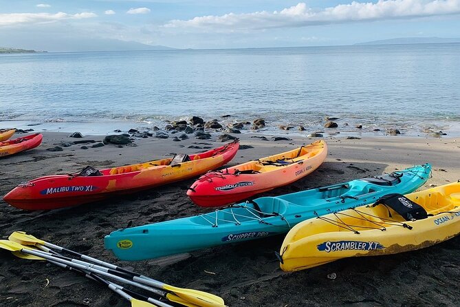 Kayak and Snorkel: Maui West Shore - Cancellation Policy and Reviews