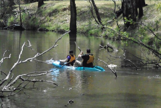 Kayak Self-Guided Tour on the Campaspe River Elmore, 30 Minutes From Bendigo - Pricing and Additional Information