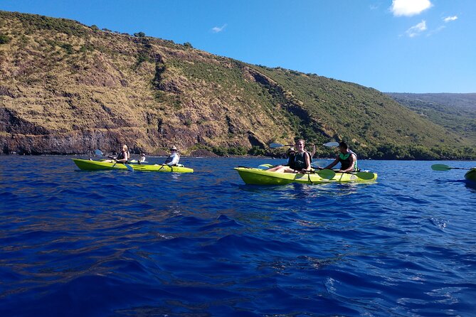 Kayak Snorkel Capt. Cook Monu. See Dolphins in Kealakekua Bay, Big Island (5 Hr) - Logistics Details
