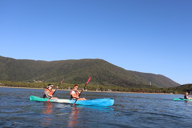 Kayak Turtle Tour From Palm Cove - Reviews & Pricing Overview
