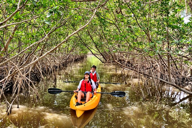 Kayaking Tour of Mangrove Tunnels in South Florida  - Fort Lauderdale - Pricing Information