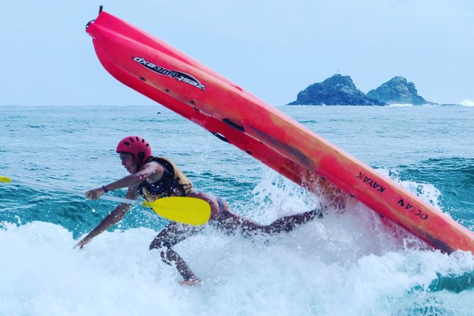 Kayaking With Dolphins in Byron Bay Guided Tour - Customer Reviews