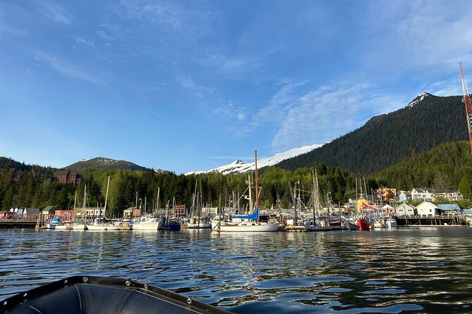 Ketchikan: Small-Group Marine Wildlife Zodiac Expedition - Positive Customer Feedback and Recommendations