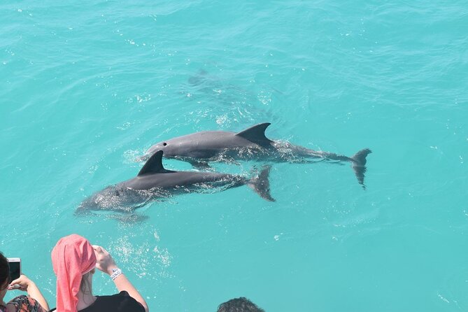 Key West Dolphin & Snorkel Experience - Weather Considerations