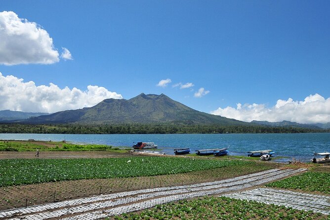 Kintamani Lake & Volcano Tour - Traveler Experience and Suggestions