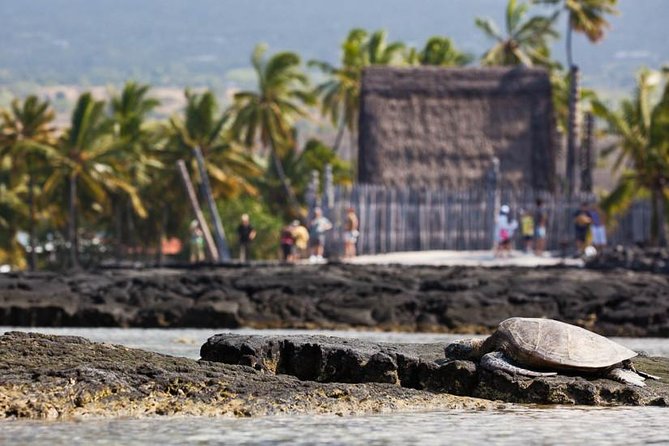 Kona Tour: Coffee Plantation, Kealakekua Bay, Kaloko-Honokohau Park, and Bee Farm - Important Tour Tips