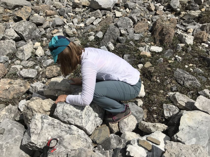 Kootenay National Park: Stanley Glacier Valley Tour - Inclusions in the Tour Package