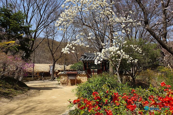 Korean Folk Village Half-Day Guided Tour From Seoul - Reviews and Booking Information