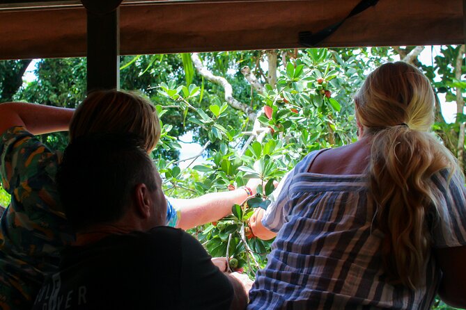 Kualoa Ranch Off-Road Jungle, Garden, Film Location Tour  - Oahu - Practical Information