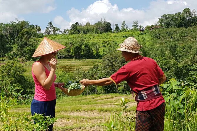 Kubu Terrace Jatiluwih Cooking Class - Reviews and Contact