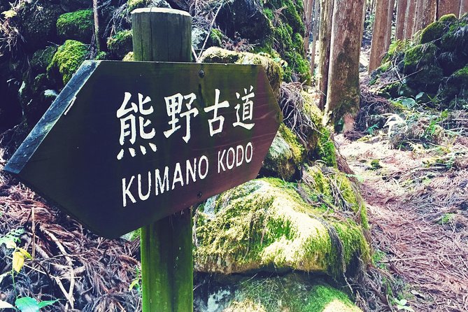 Kumano Kodo Pilgrimage Full-Day Private Trip With Government Licensed Guide - Sum Up