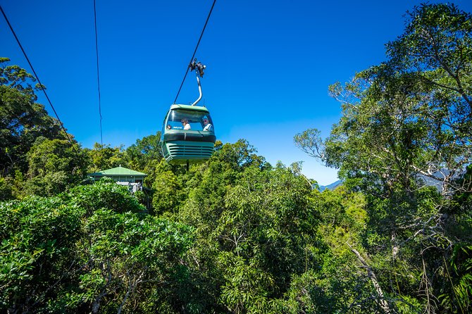 Kuranda By Train, Boat & Skyrail  - Cairns & the Tropical North - Riverboat and Skyrail Adventure