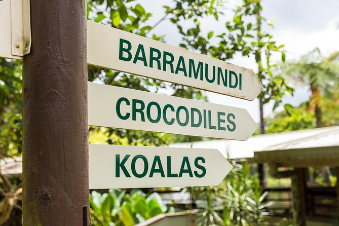 Kuranda Scenic Railway Day Trip From Cairns - Suggestions for Improvement