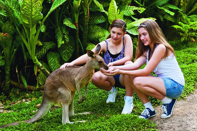 Kuranda Wildlife Experience Deluxe Multi Attraction Pass - Additional Information Provided